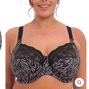 Elomi Morgan Serengeti 3 part cup Full Figure Underwire Bras  38DDD $78